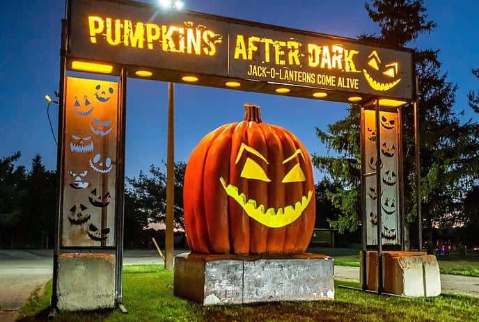 Pumpkins After Dark