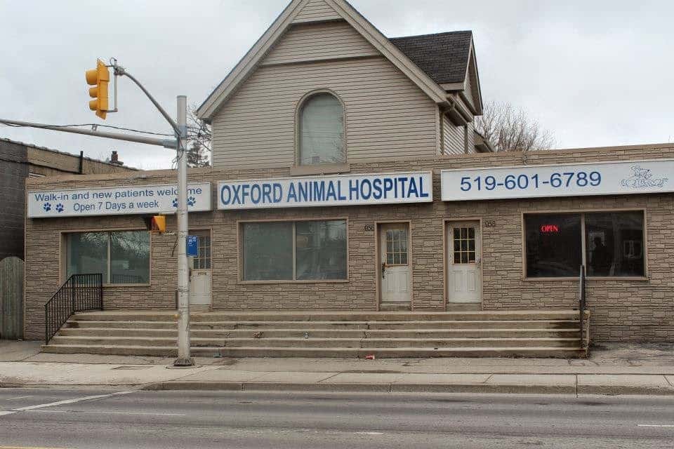 Oxford Animal Hospital