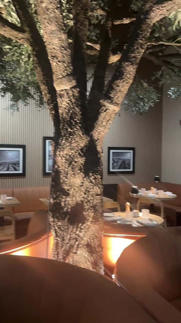 Los Olivos — Restaurants photo 2 of 5