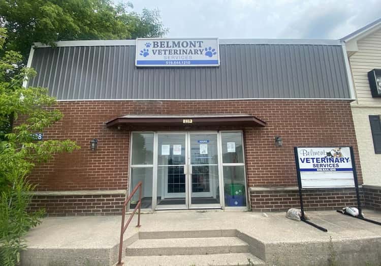 Belmont Veterinary Services