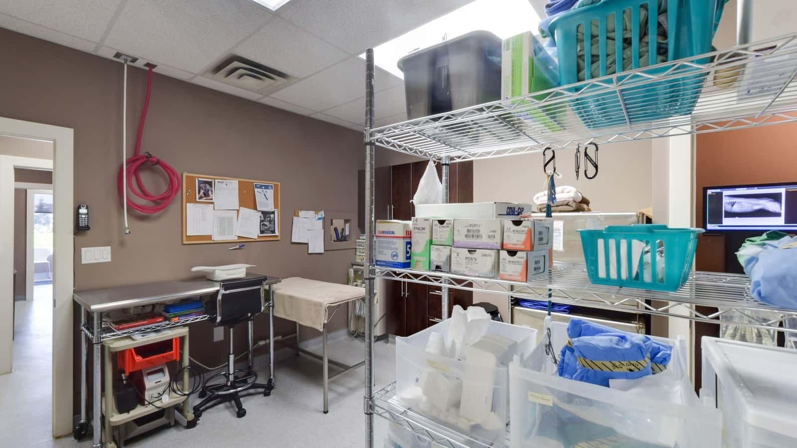 Pine Valley Animal Clinic — Pet Services photo 3 of 4