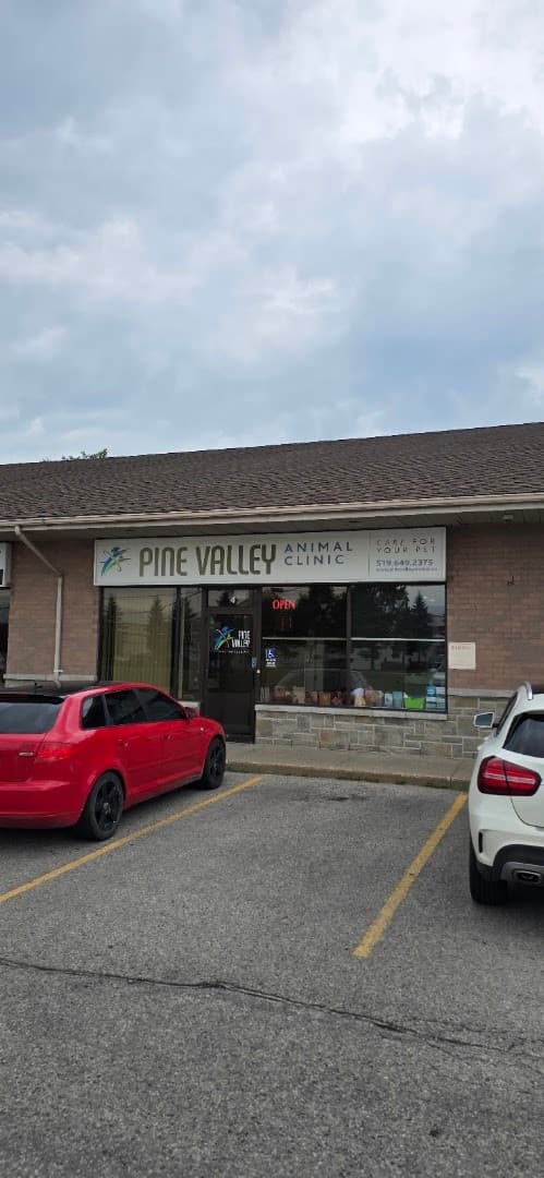 Pine Valley Animal Clinic — Pet Services photo 1 of 4