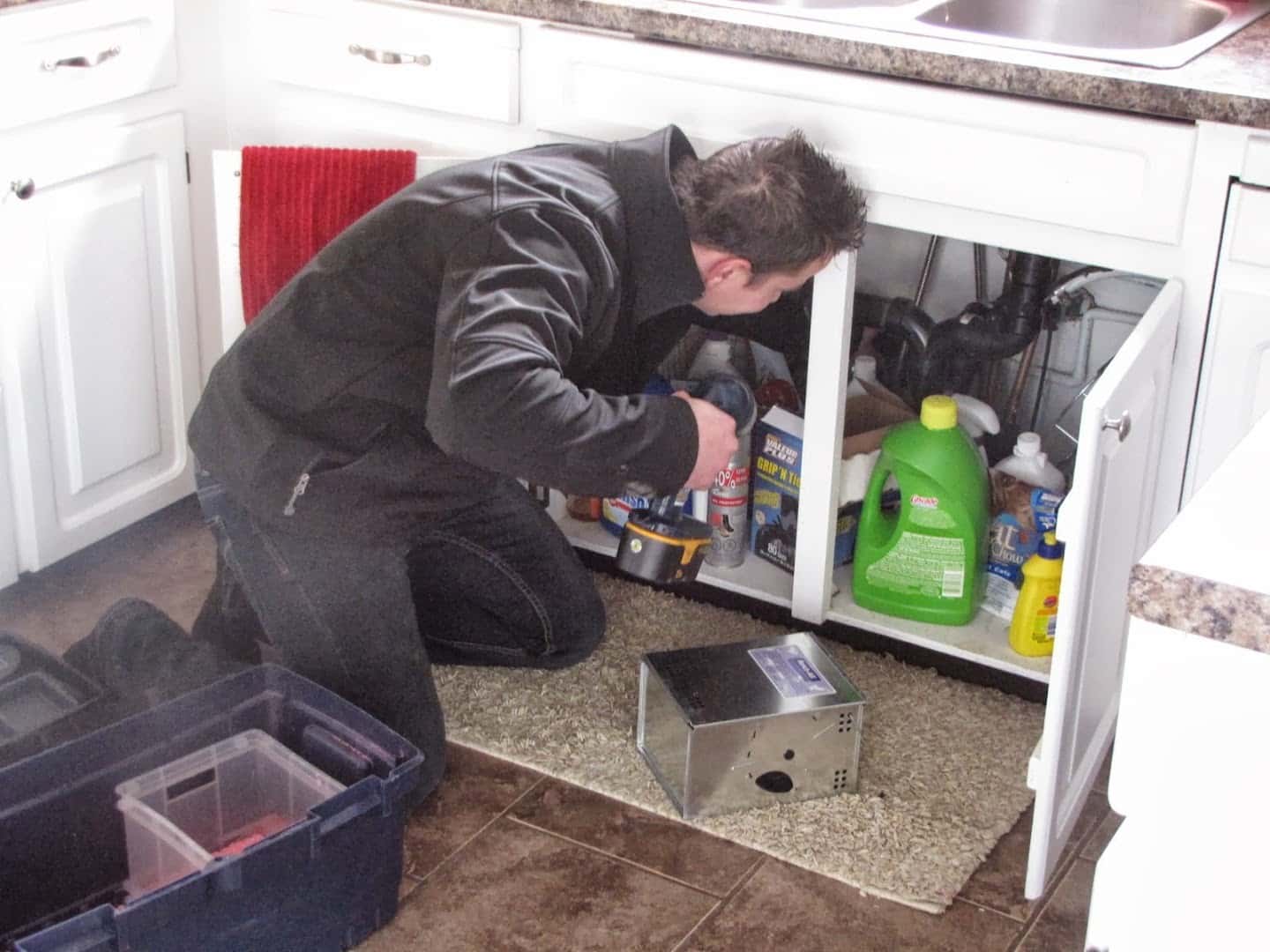 AAA Pest Protection Service — Pest Control photo 3 of 4