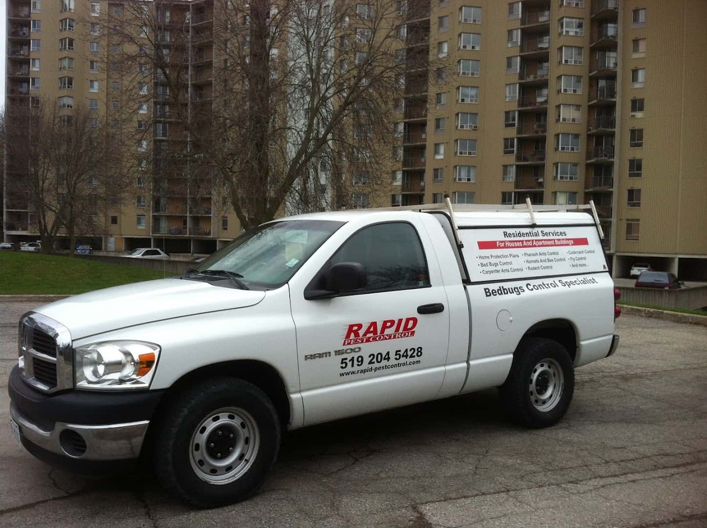 Rapid Pest Control London Onatrio — Pest Control photo 1 of 4