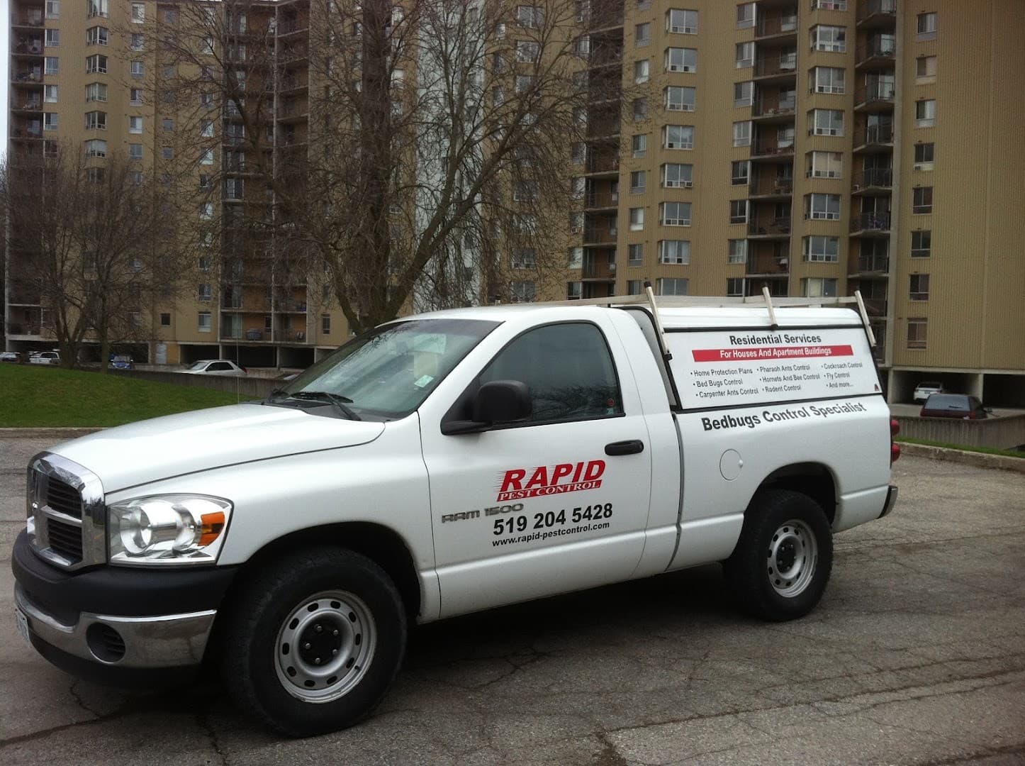 Rapid Pest Control London Onatrio — Pest Control photo 1 of 4