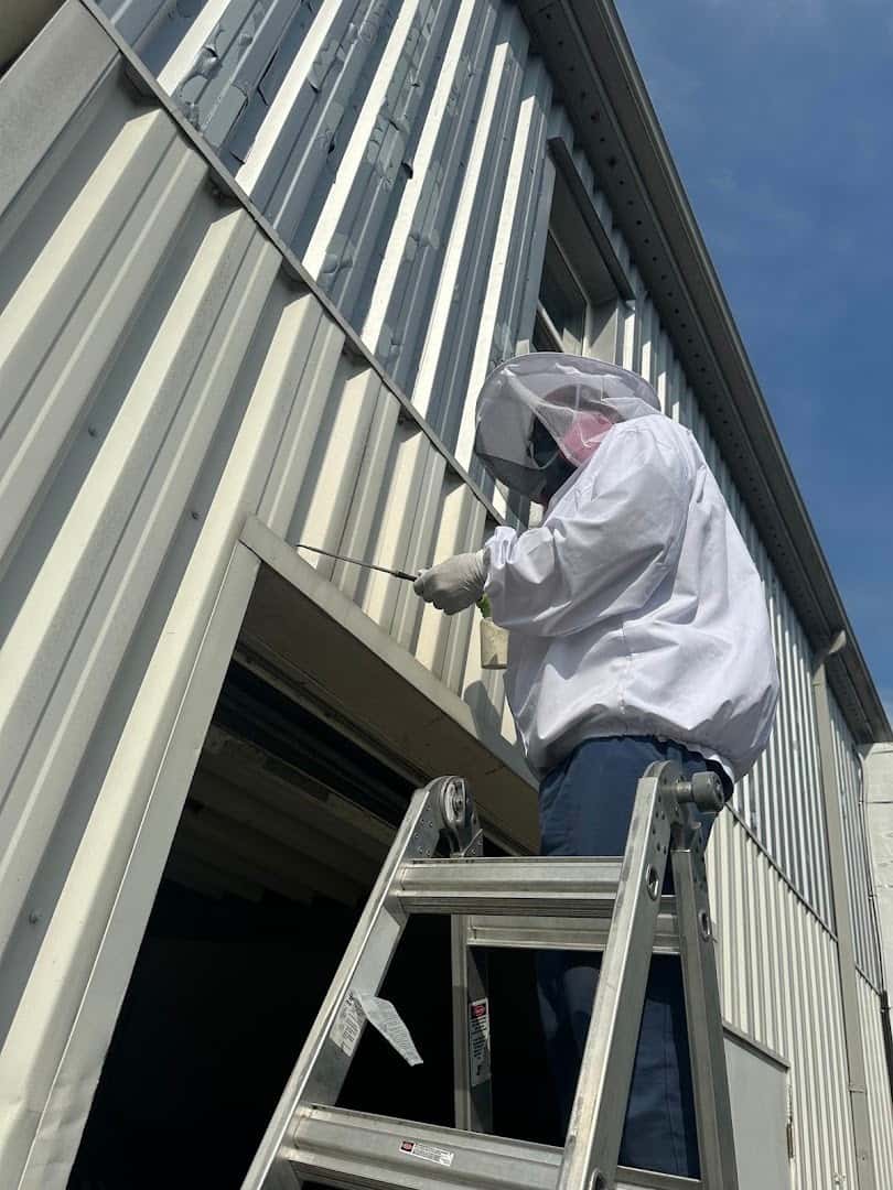 Pestro Pest Control — Pest Control photo 3 of 5