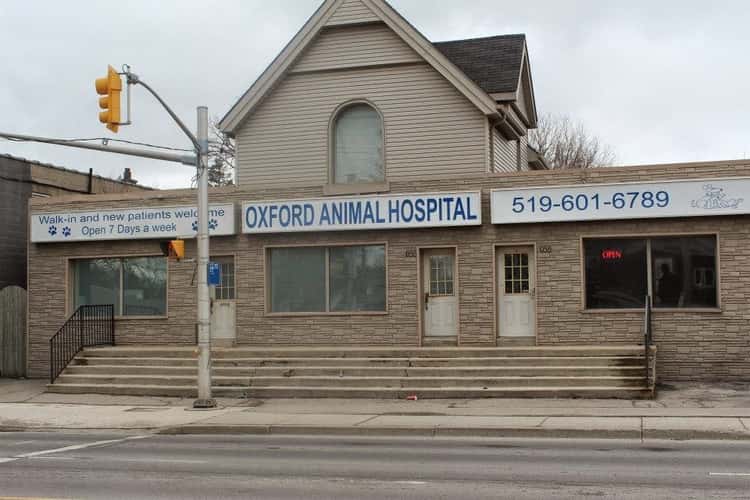 Oxford Animal Hospital