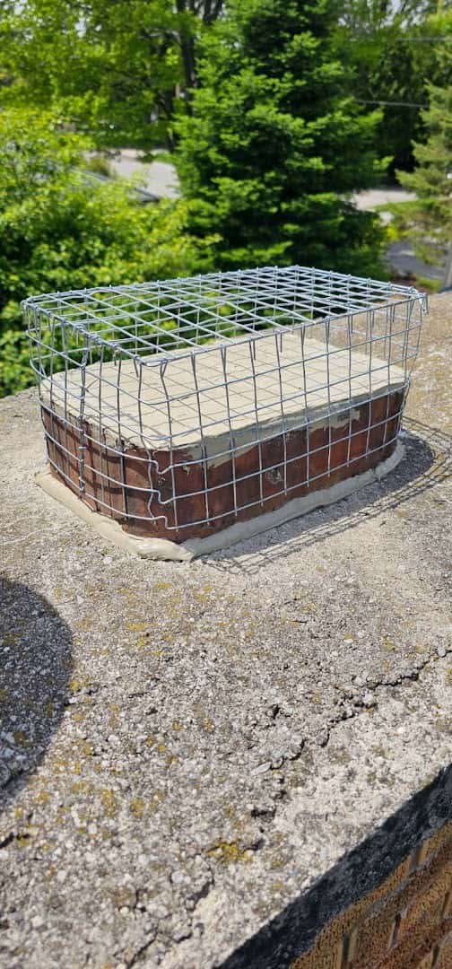 Professional Wildlife Removal — Pest Control photo 3 of 3