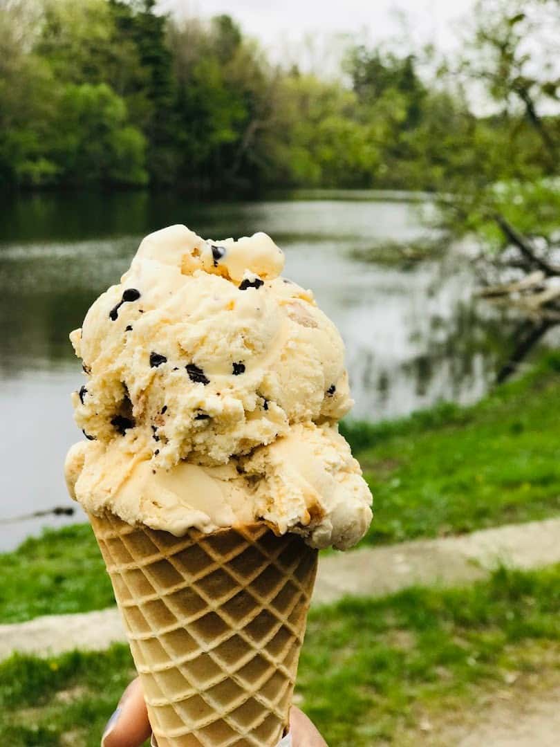 The Frozen Cow — Bakeries & Desserts photo 2 of 5