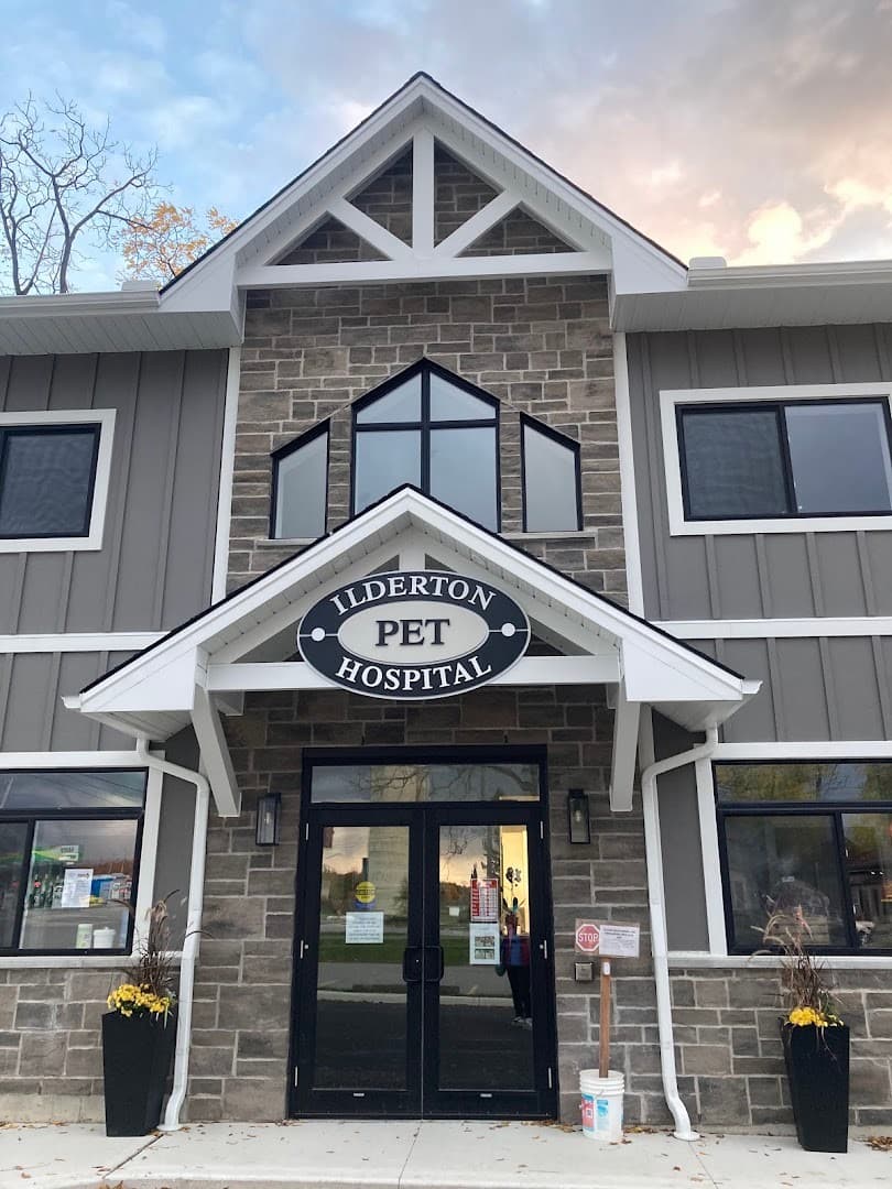 Ilderton Pet Hospital — Pet Services photo 1 of 3