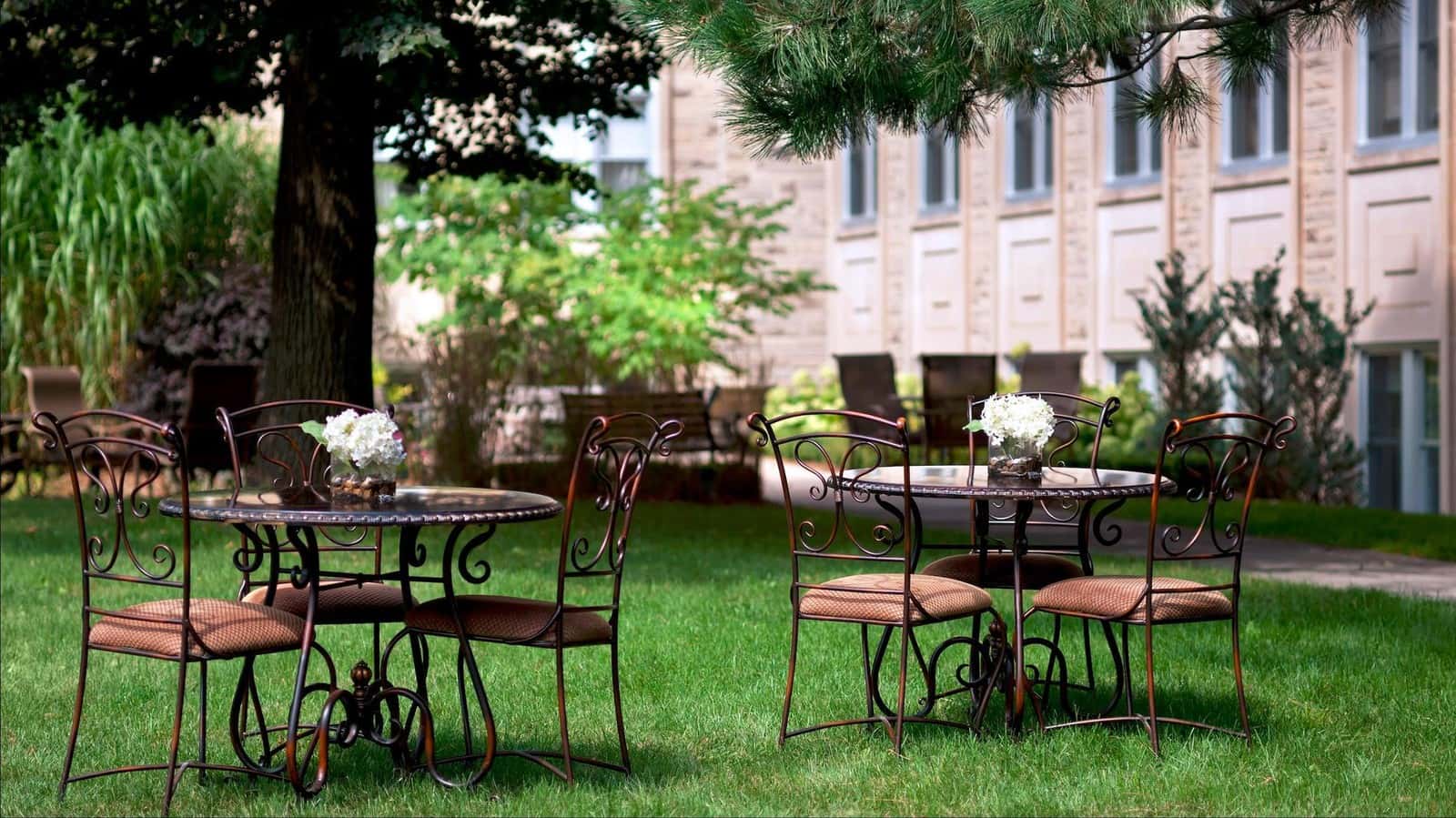 VENVI Windermere on the Mount — Senior Services photo 3 of 4