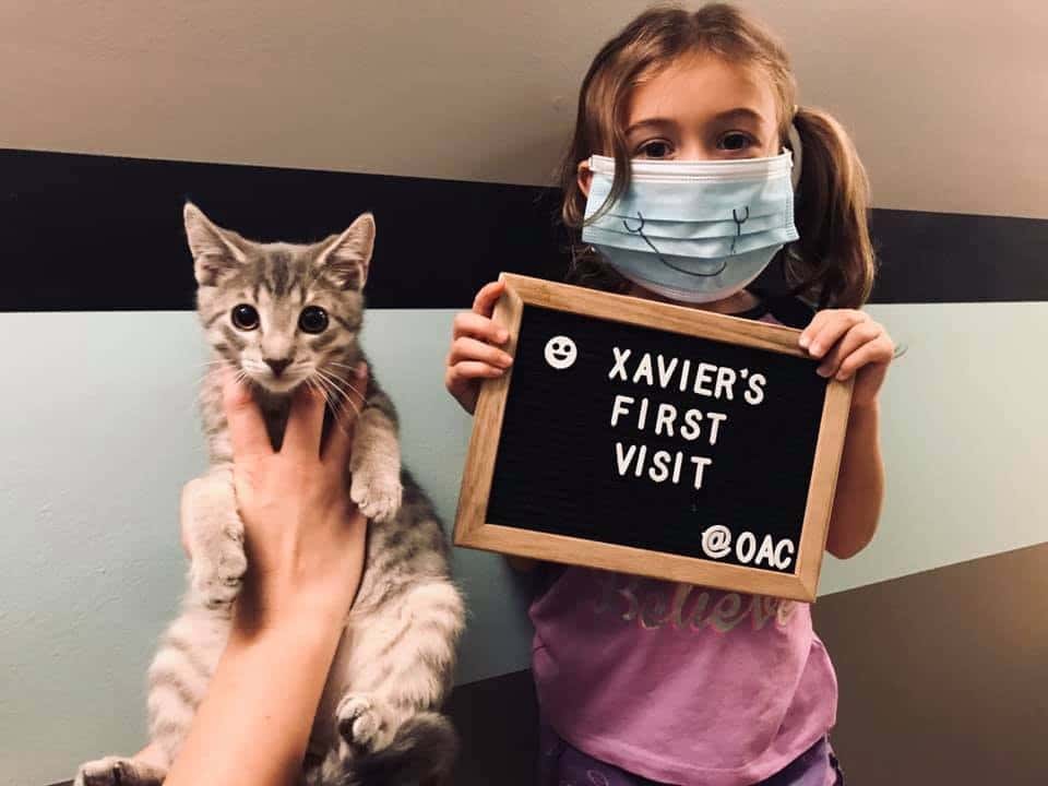 Oakridge Animal Clinic — Pet Services photo 2 of 3