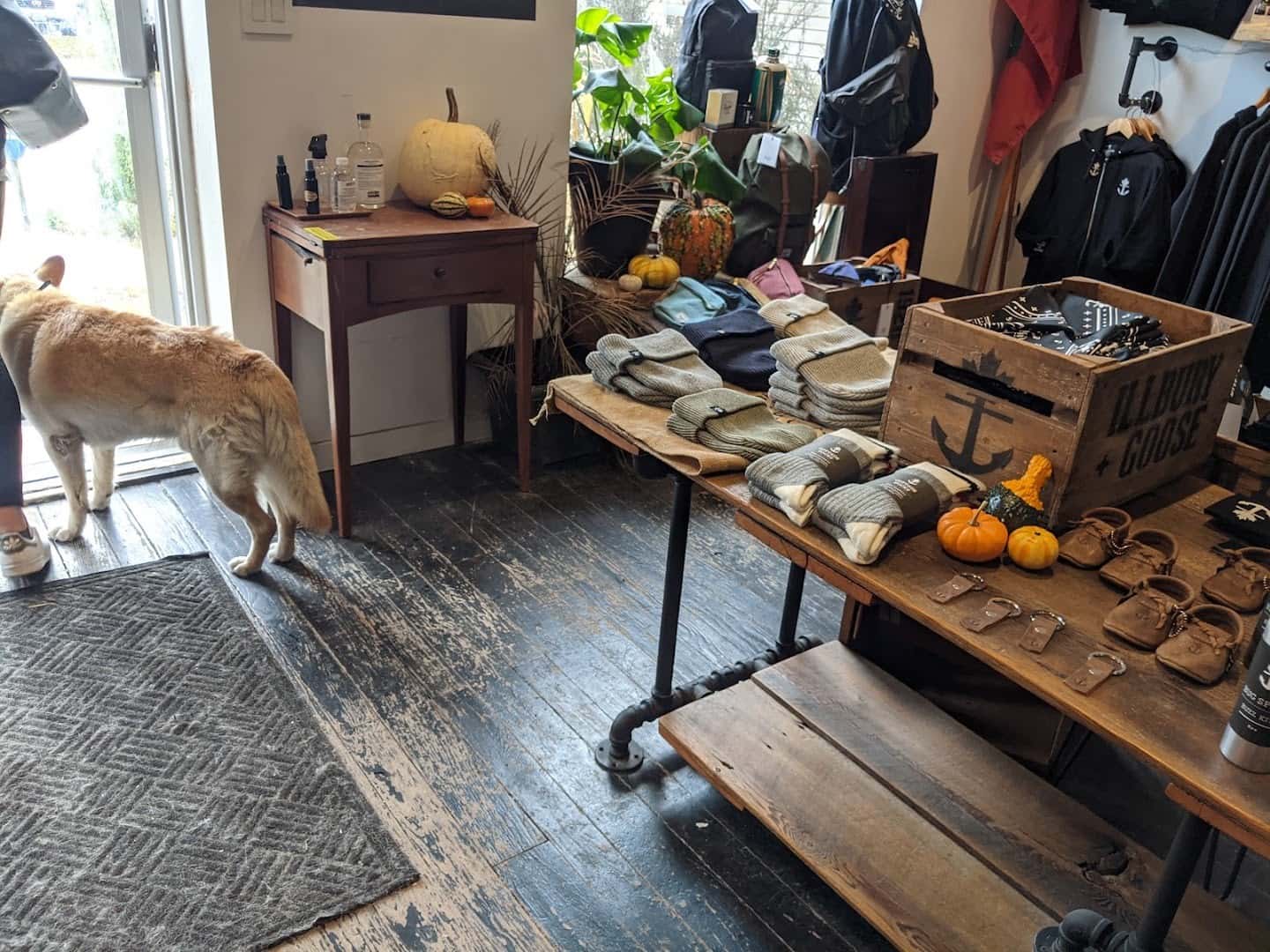 Illbury + Goose — Retail & Boutiques photo 2 of 5