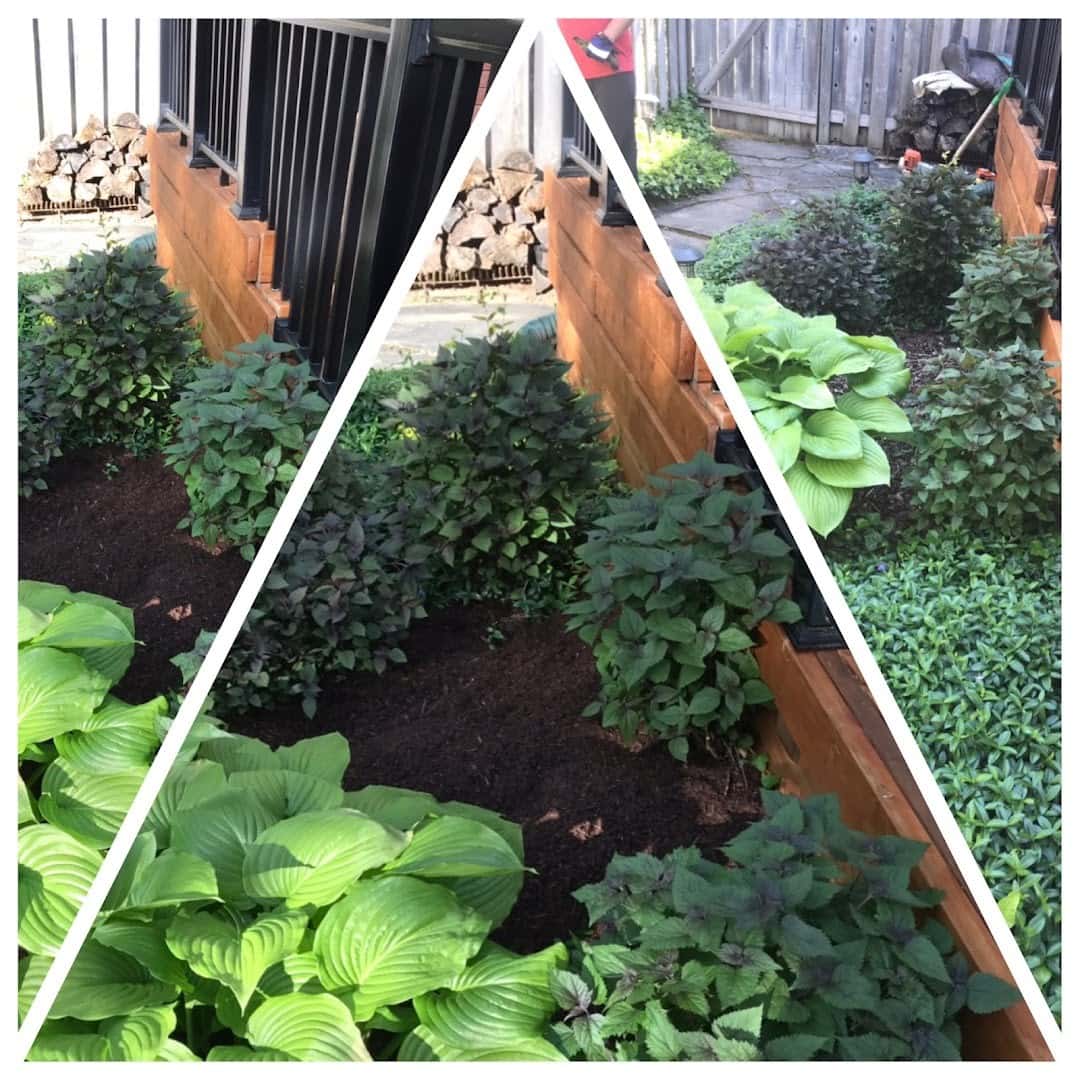 Arm’s Landscaping, Recycling & Multi-Trade — Lawn & Landscape photo 3 of 4