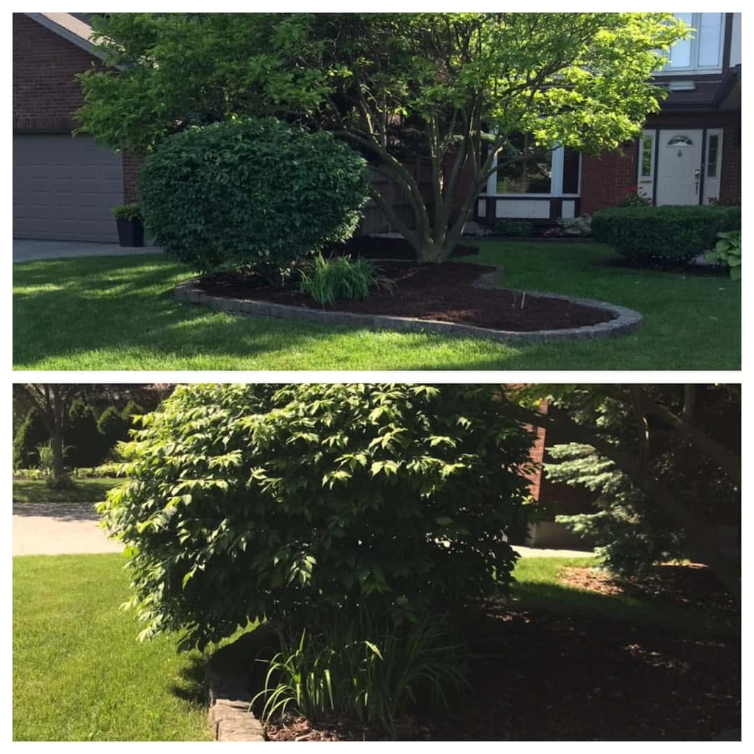 Arm’s Landscaping, Recycling & Multi-Trade — Lawn & Landscape photo 1 of 4
