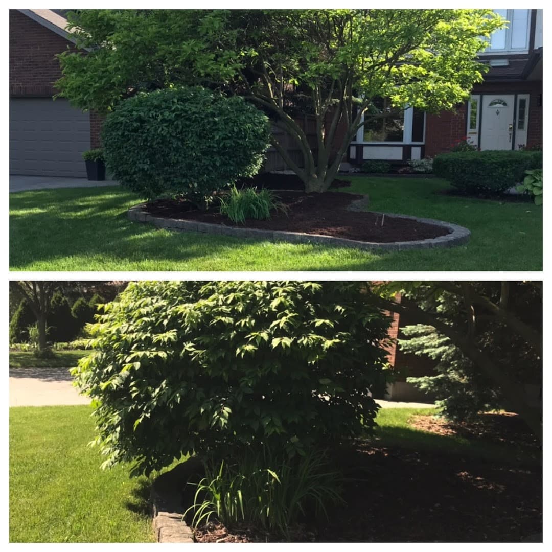 Arm’s Landscaping, Recycling & Multi-Trade — Lawn & Landscape photo 1 of 4
