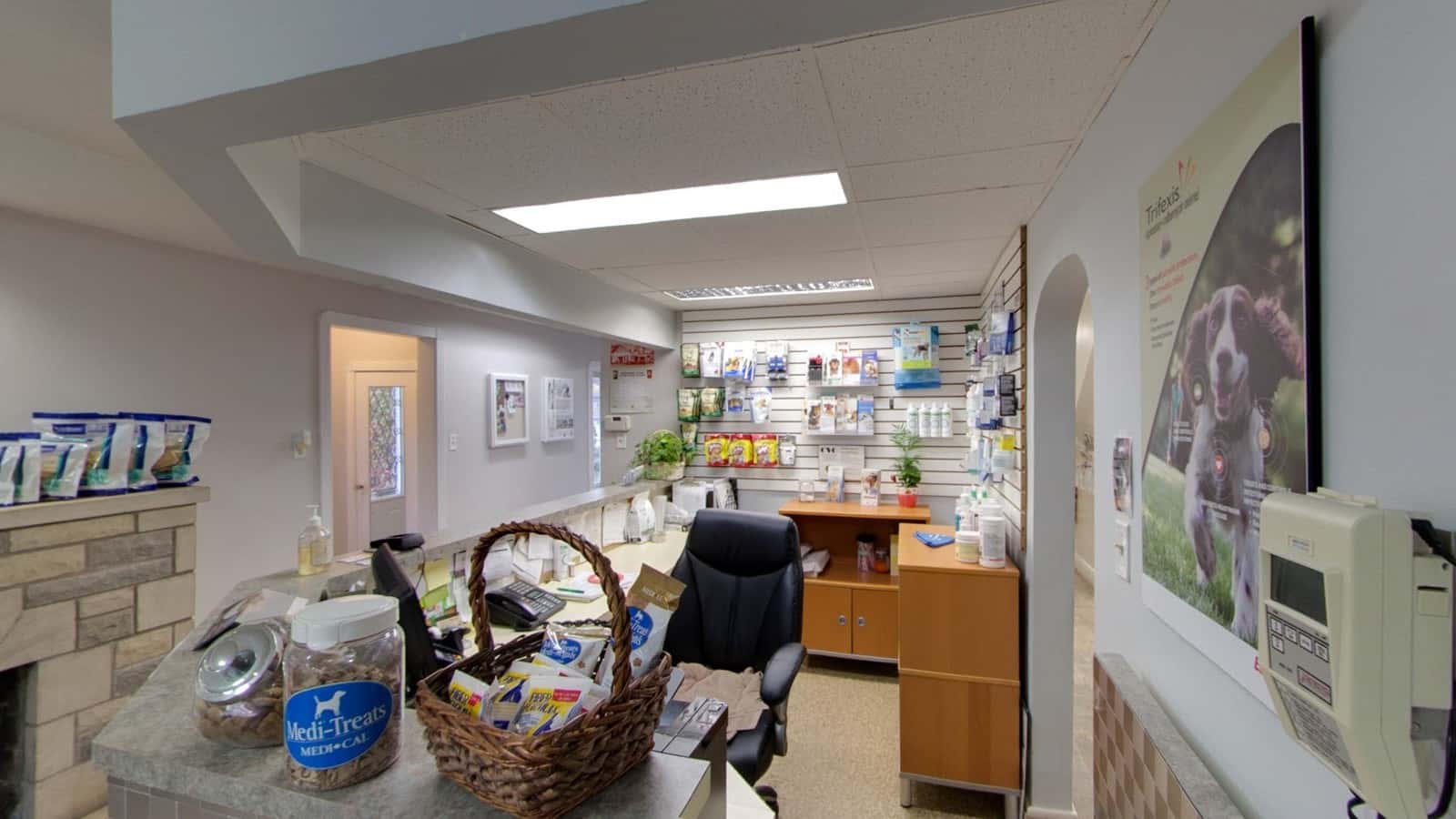 Byron Animal Clinic — Pet Services photo 1 of 5