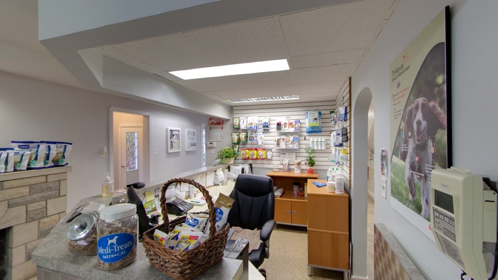 Byron Animal Clinic — Pet Services photo 1 of 5