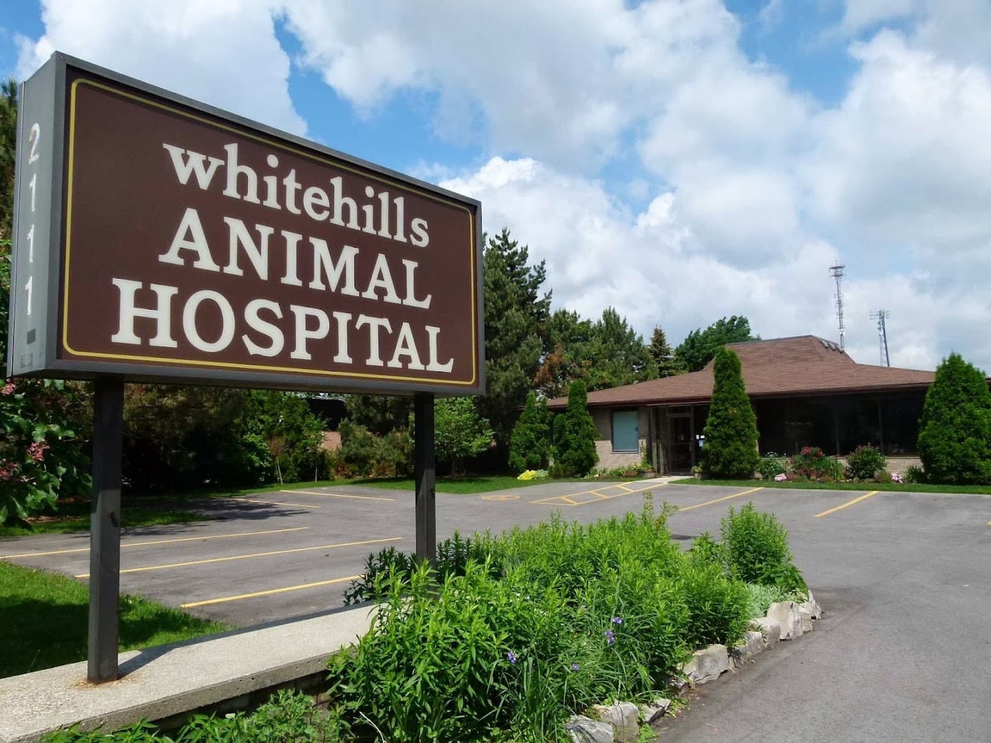 Whitehills Animal Hospital — Pet Services photo 1 of 3