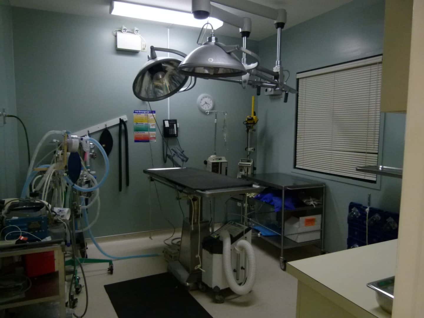 Whitehills Animal Hospital — Pet Services photo 2 of 3