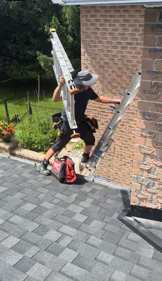 Bat Control Specialists — Pest Control photo 2 of 4