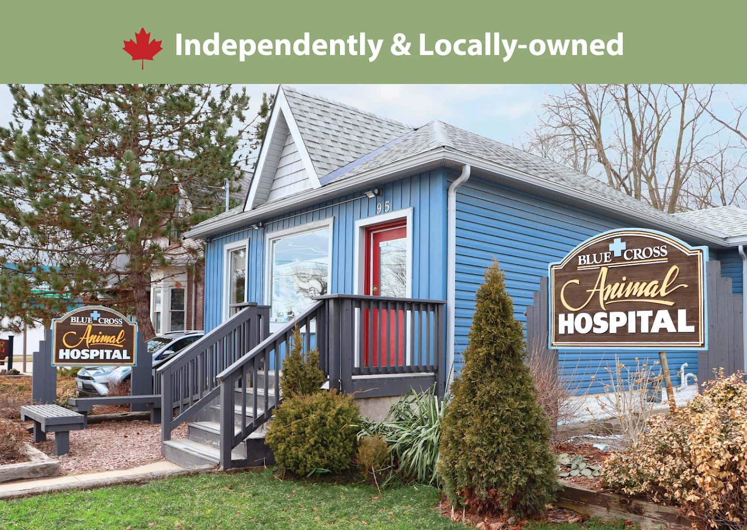 Blue Cross Animal Hospital — Pet Services photo 1 of 4