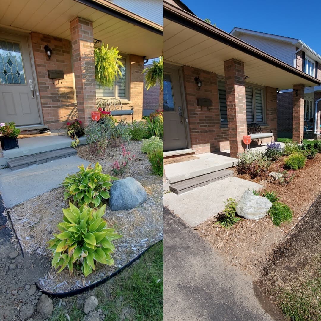 My Landscape Artist — Lawn & Landscape photo 1 of 4