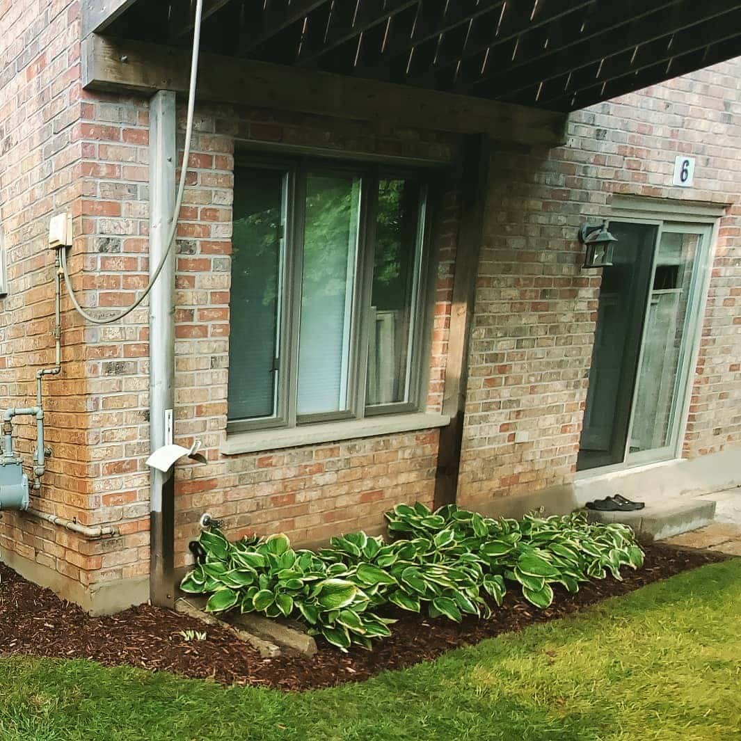 My Landscape Artist — Lawn & Landscape photo 2 of 4