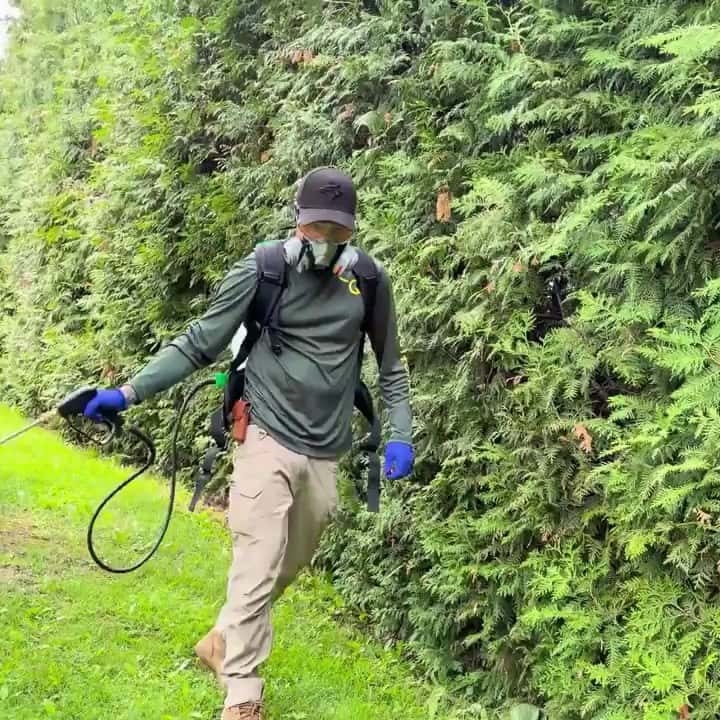 Mosquito Man London — Pest Control photo 2 of 5