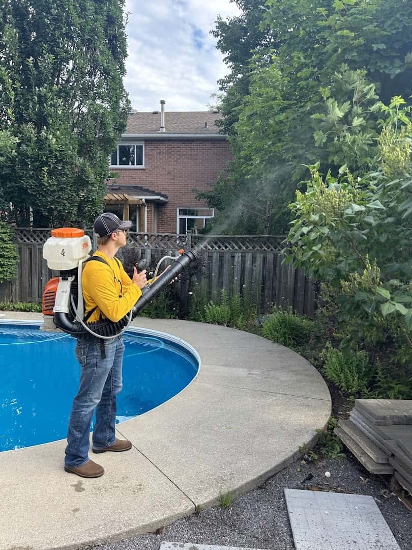 Mosquito Man London — Pest Control photo 3 of 5