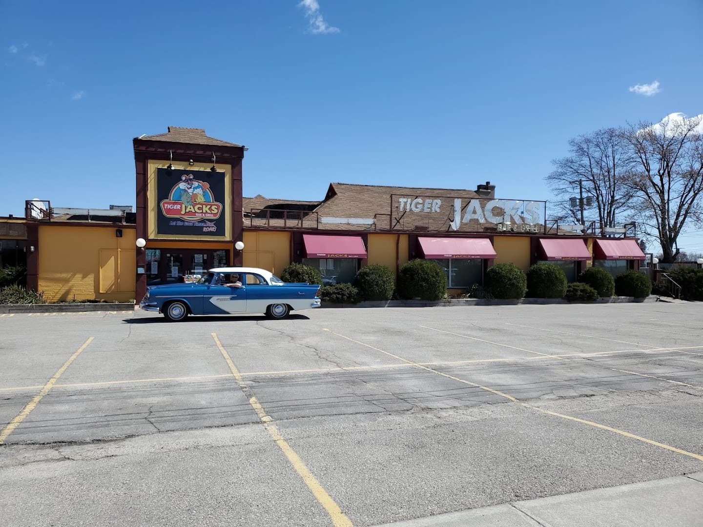 Tiger Jack's Bar & Grill — Bars & Breweries photo 1 of 4