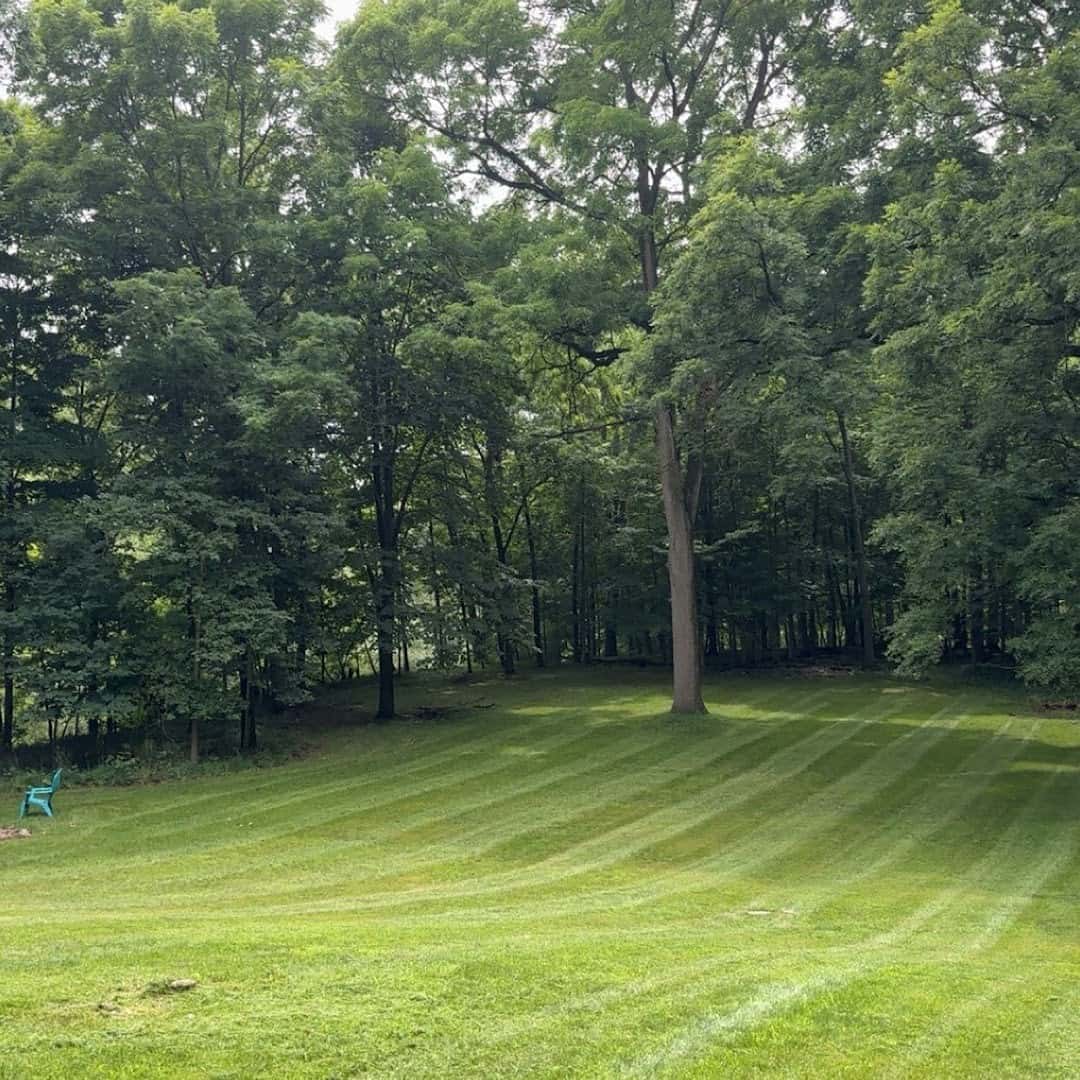 Brothers Landscaping & Property Maintenance London — Lawn & Landscape photo 1 of 5