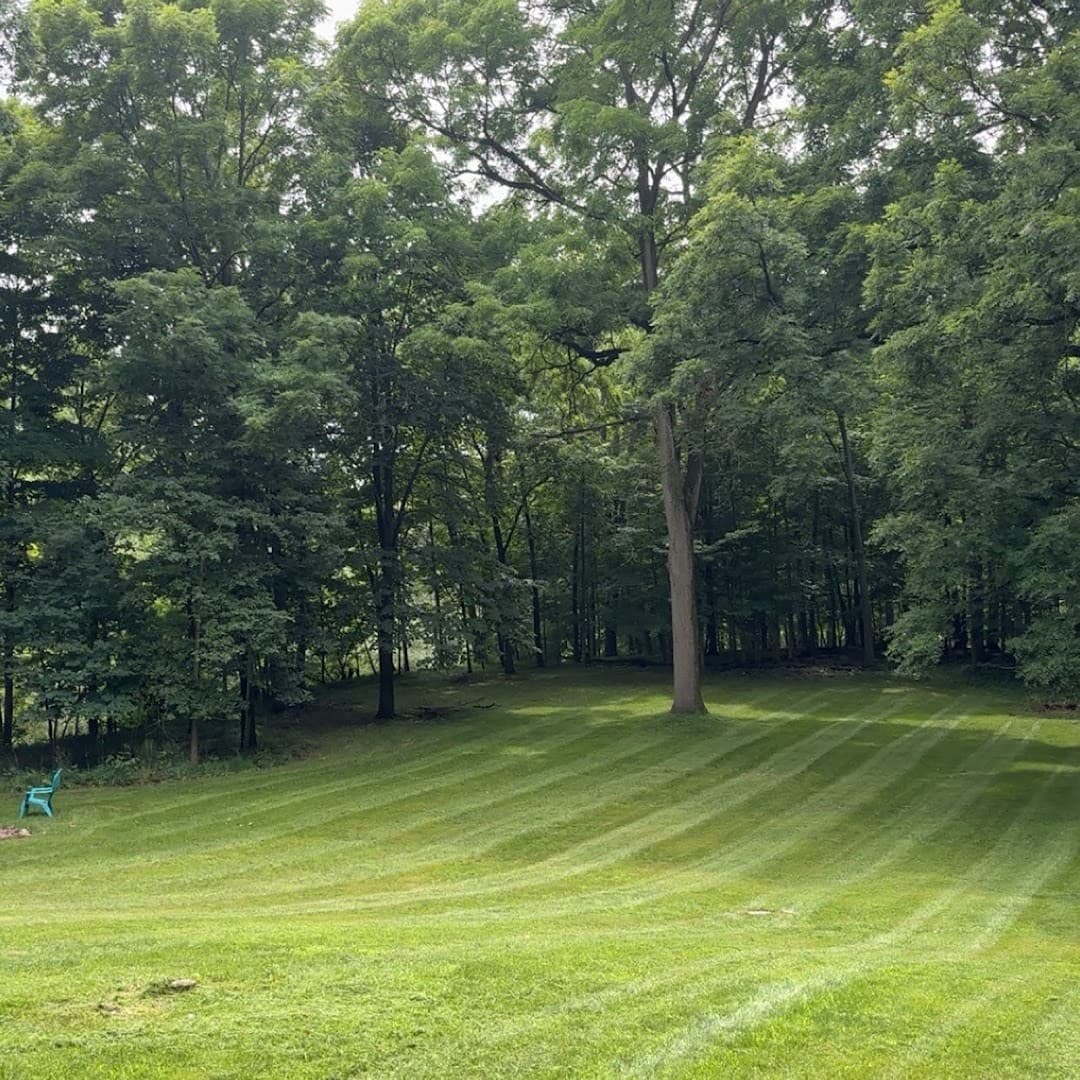 Brothers Landscaping & Property Maintenance London — Lawn & Landscape photo 1 of 5