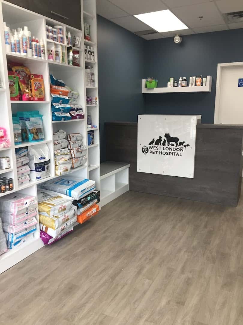 West London Pet Hospital — Pet Services photo 1 of 4