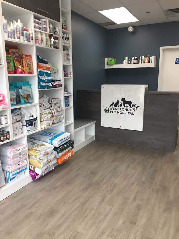 West London Pet Hospital