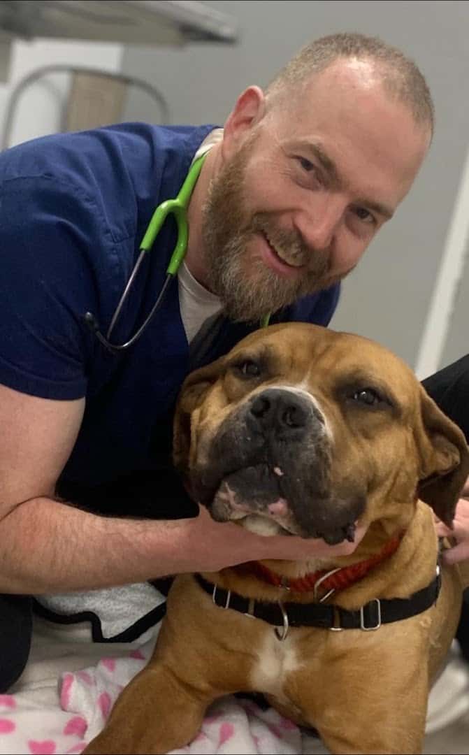West London Pet Hospital — Pet Services photo 2 of 4