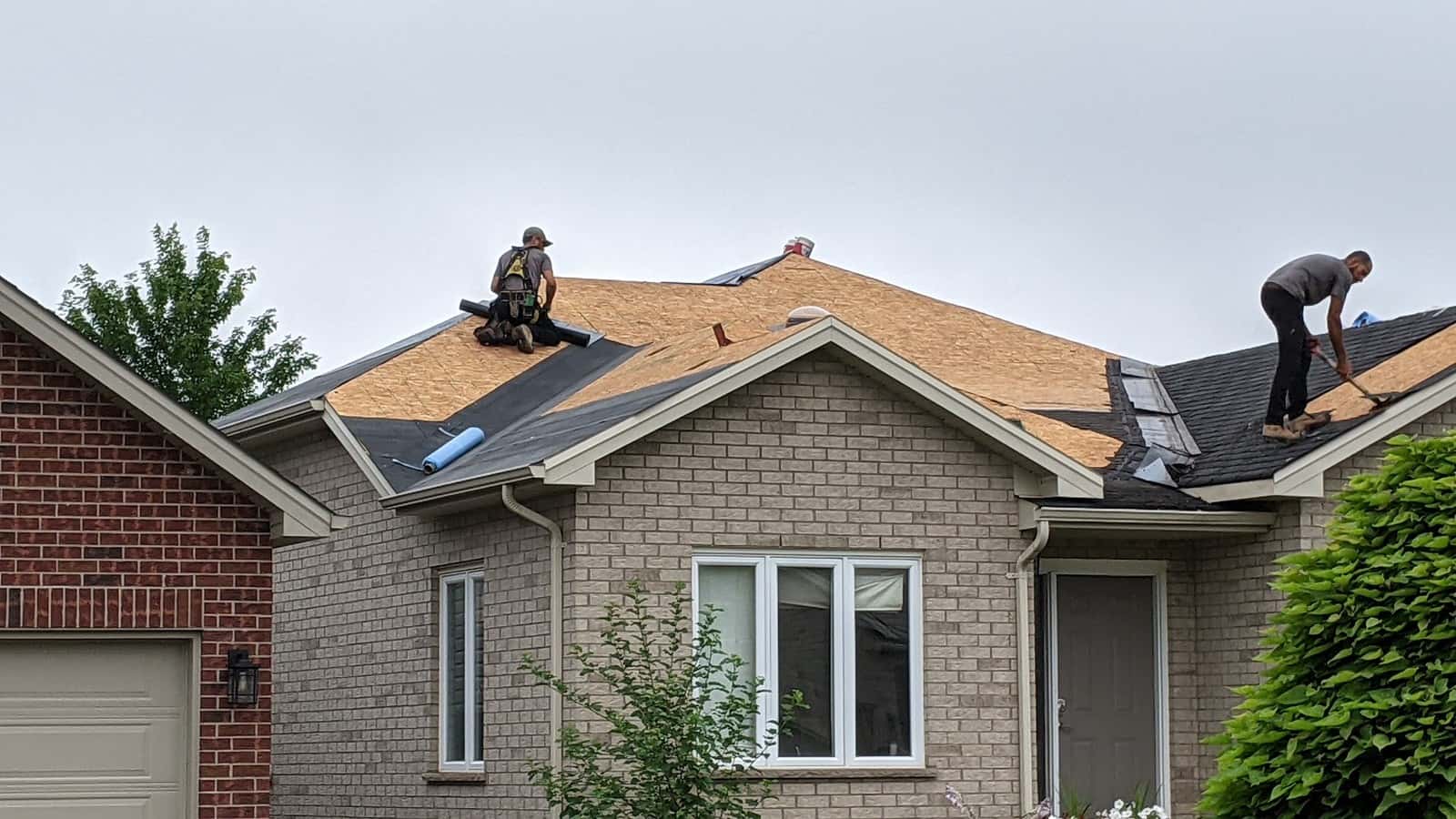 Davidoff Roofing (London) Ltd — Roofers photo 3 of 4