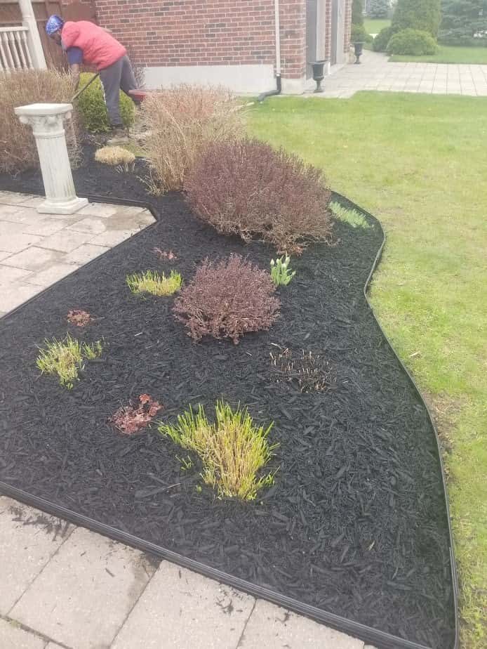 Sean's Property Services — Lawn & Landscape photo 2 of 5