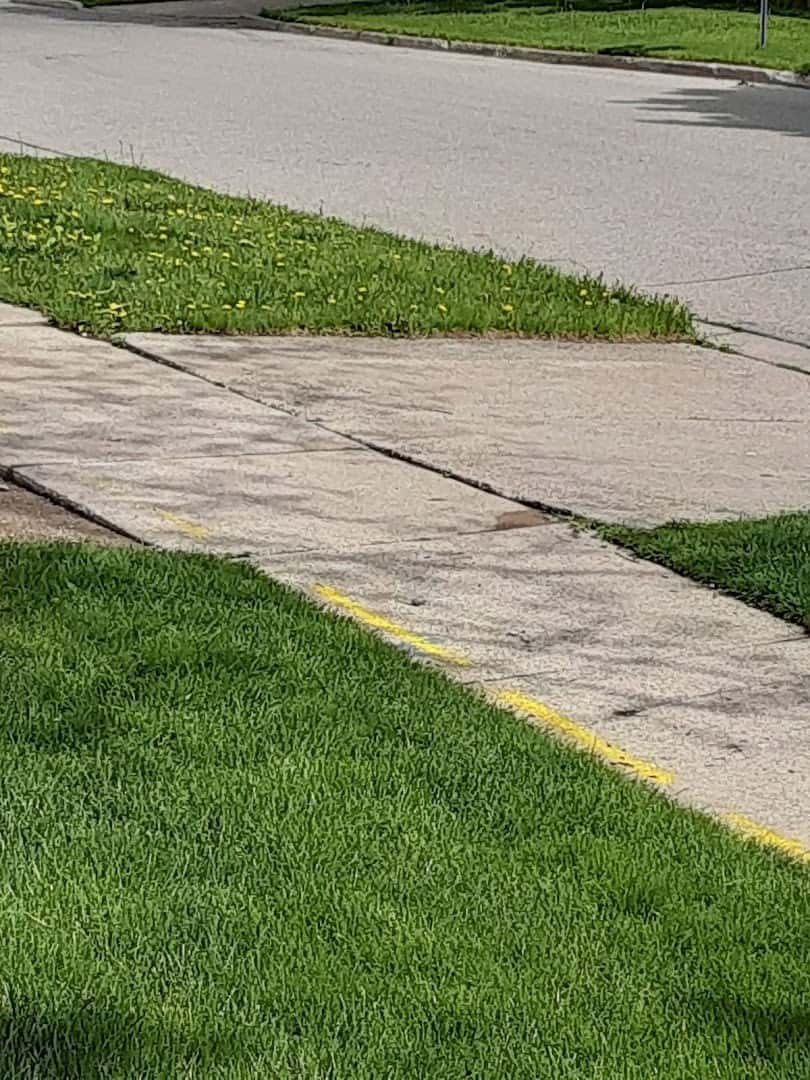 Great Lakes Lawn Care Inc. — Lawn & Landscape photo 3 of 4