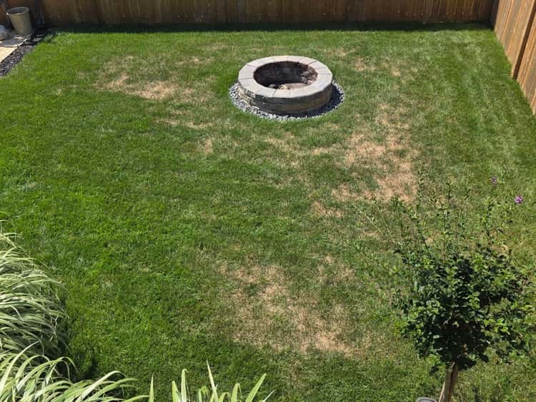 Great Lakes Lawn Care Inc.