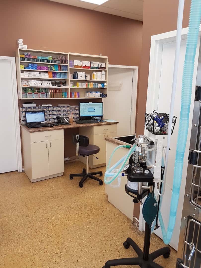 Caradoc Animal Clinic — Pet Services photo 3 of 5