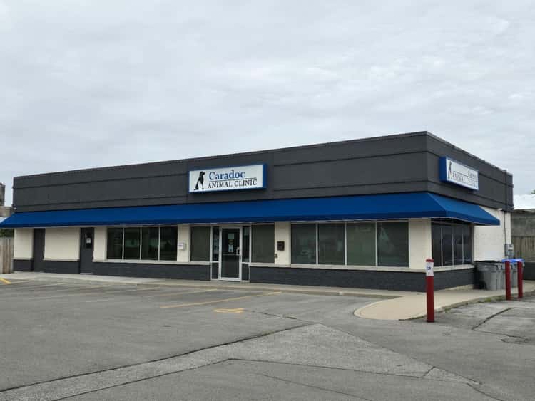 Caradoc Animal Clinic