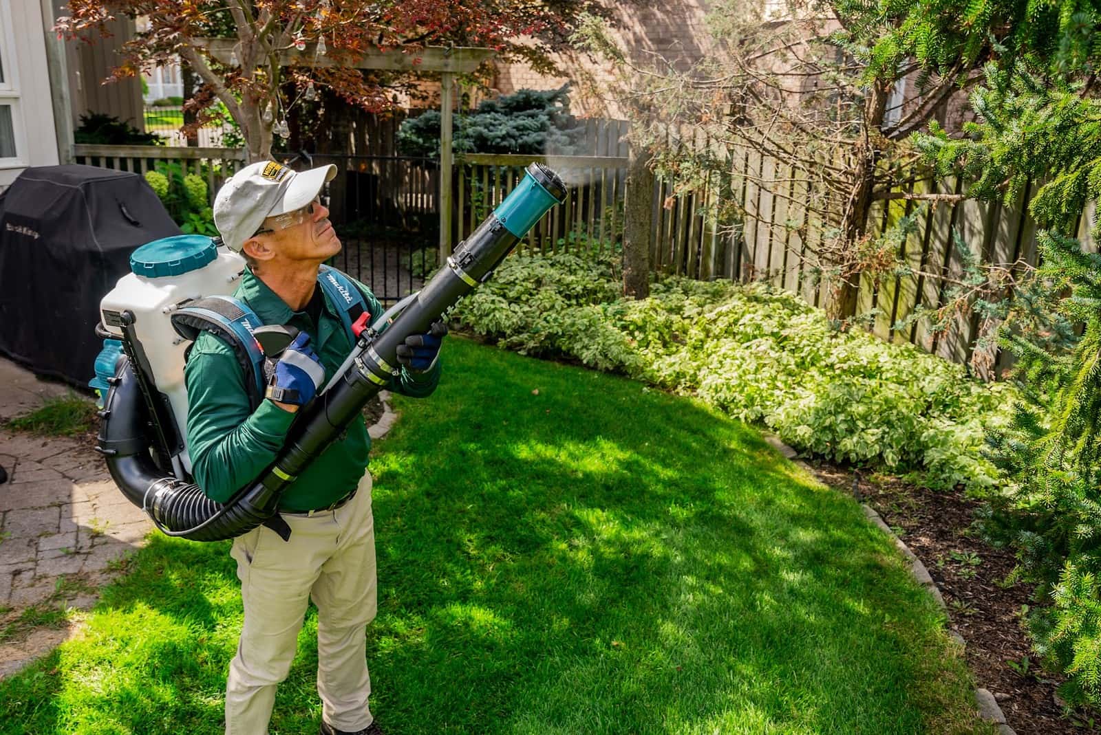 Mosquito Hero — Pest Control photo 2 of 4