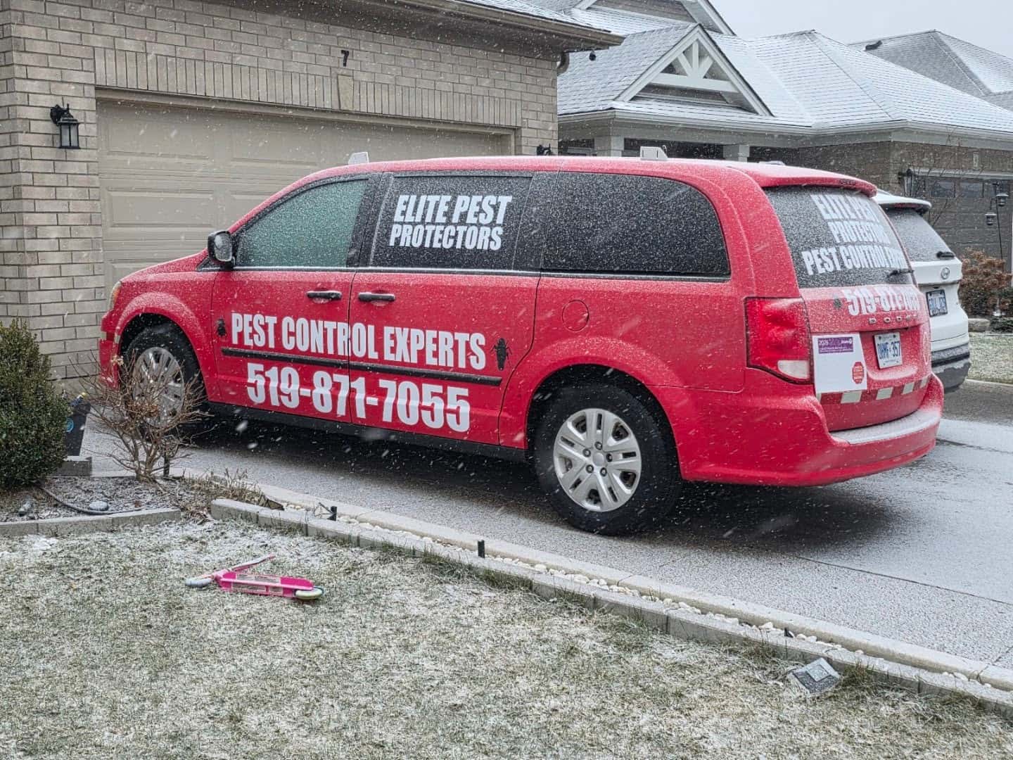 Elite Pest Protectors Inc. — Pest Control photo 3 of 3