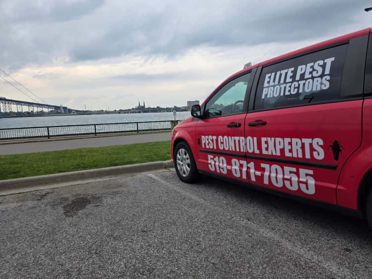 Elite Pest Protectors Inc.