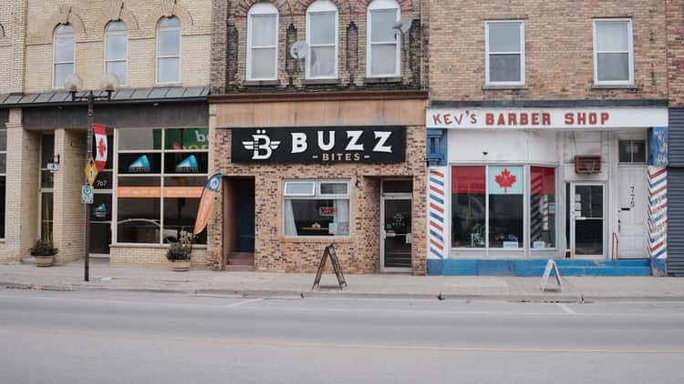 Buzz Bites